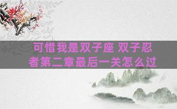 可惜我是双子座 双子忍者第二章最后一关怎么过
